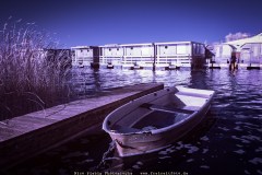 Infrarotaufnahme eines Kanes im Stadthafen.