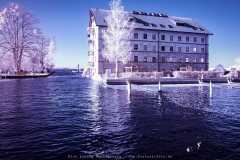 Infrarotaufnahme eines Mehrfamilienhauses im Stadthafen von Neustrelitz.