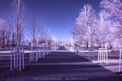 Infrarotaufnahme vom Schlossgarten im Neustrelitz.