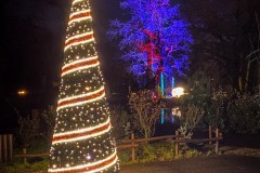 Weihnachten Tierpark