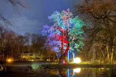 Weihnachten Tierpark
