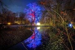Weihnachten Tierpark