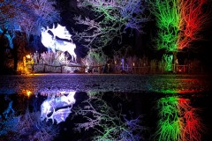 Weihnachten Tierpark