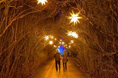 Weihnachten Tierpark