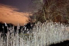 Weihnachten Tierpark