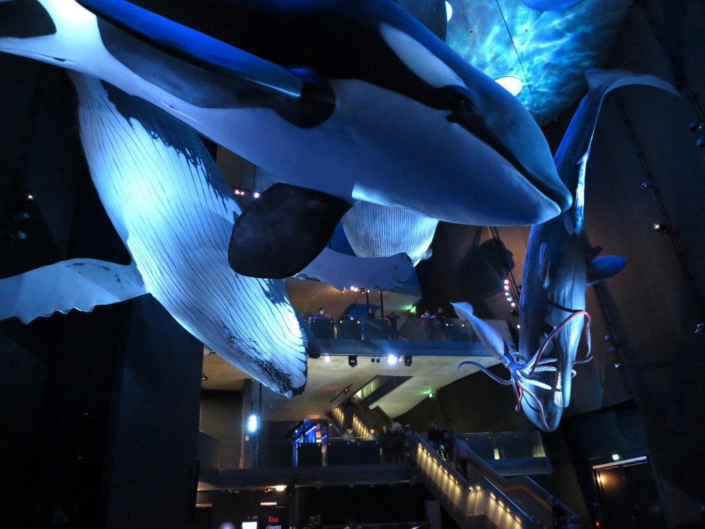 OZEANEUM Stralsund