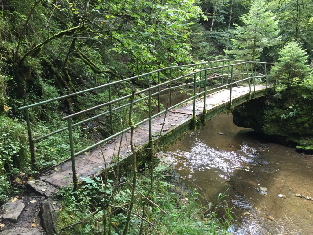 Eine Brücke, die Vertrauen weckt. Gesehen in der Wutachschlucht.