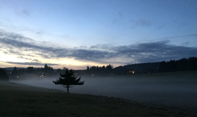 Benneckenstein-Nebel