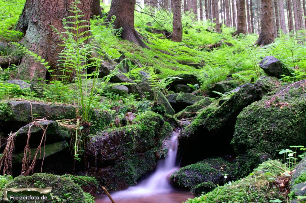 Tambach-Dietharz-008