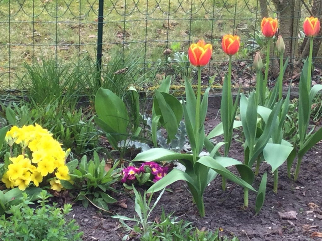 Frühling
