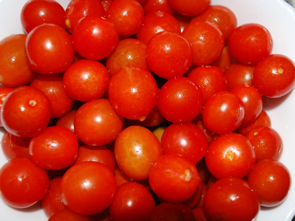 tomatenernte