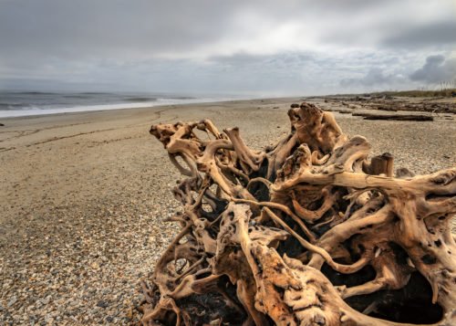 Neuseeland Haast Beach