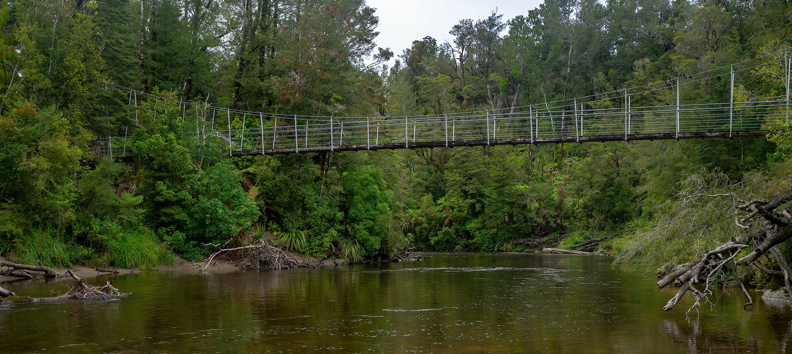 Pororari River Track Neuseeland