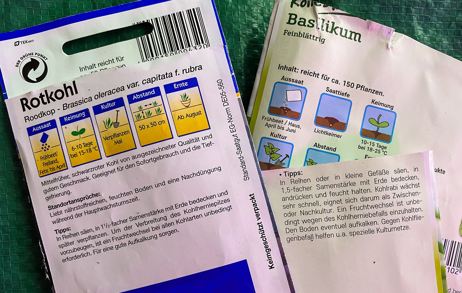 Dunkelkeimer und Lichtkeimer